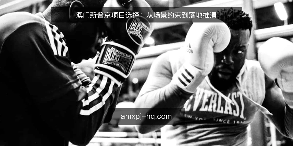 澳门新普京项目选择：从场景约束到落地推演 — 明确场景与约束 配图