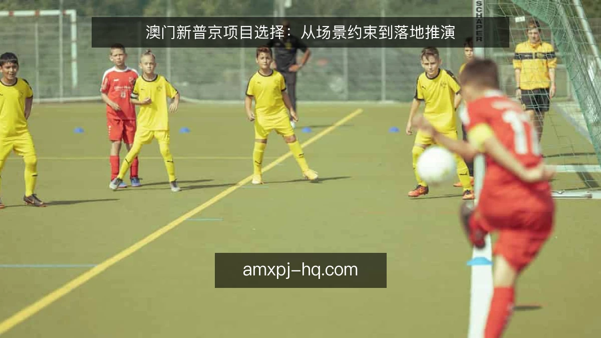 澳门新普京项目选择：从场景约束到落地推演