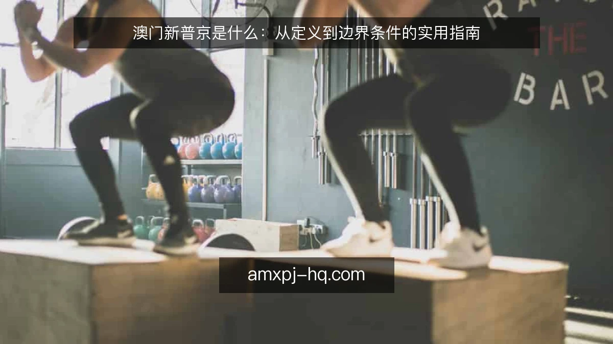 澳门新普京是什么：从定义到边界条件的实用指南