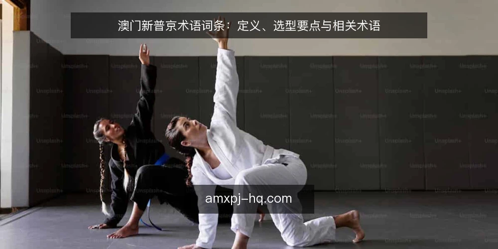 澳门新普京术语词条：定义、选型要点与相关术语 — 术语定义：澳门新普京是什么 配图