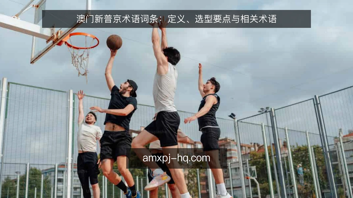 澳门新普京术语词条：定义、选型要点与相关术语