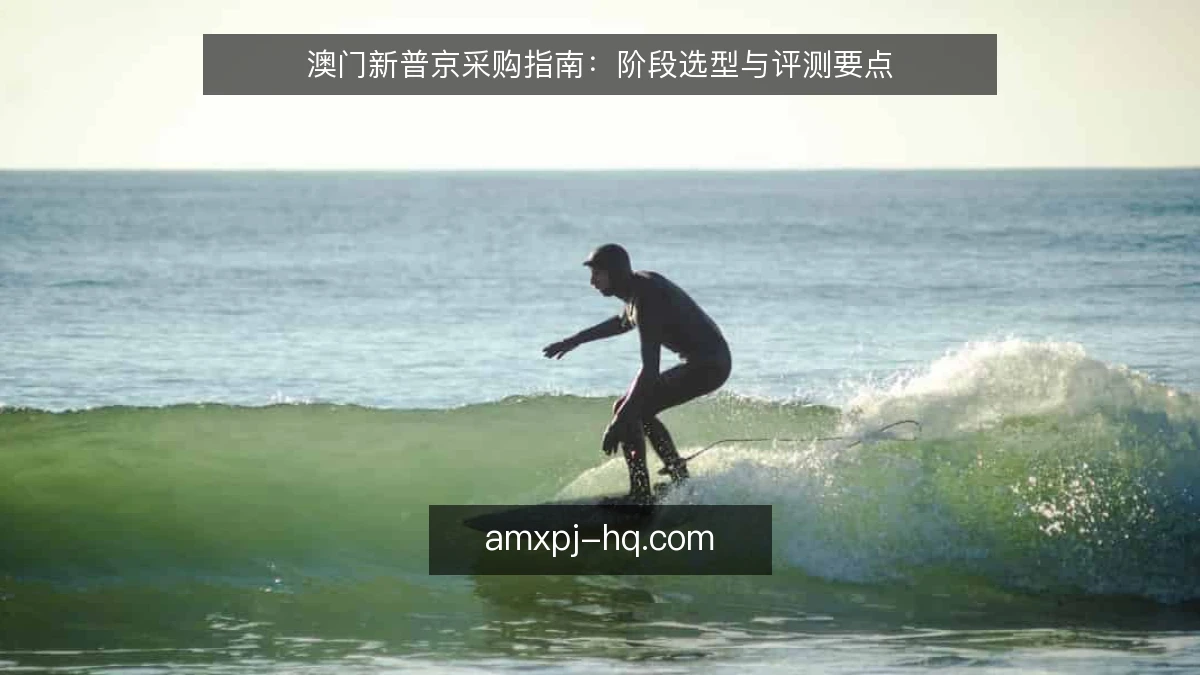 澳门新普京采购指南：阶段选型与评测要点