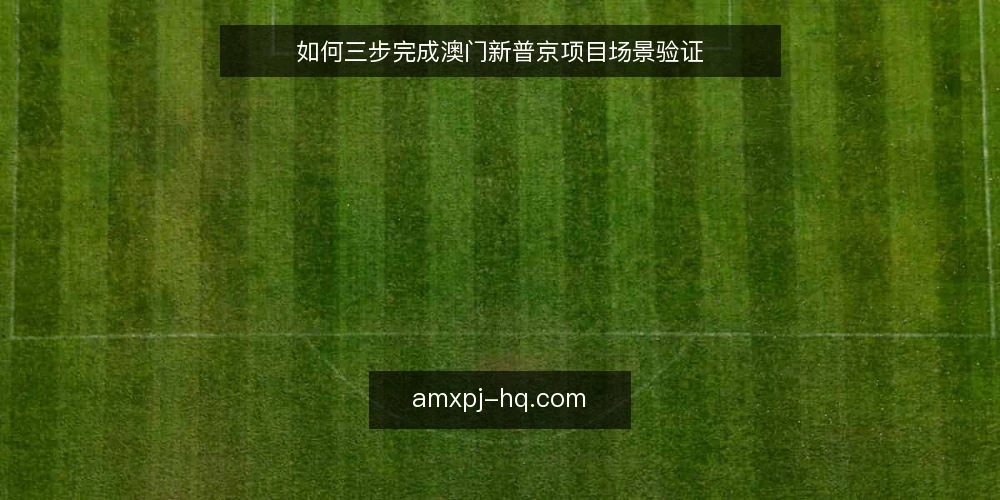 如何三步完成澳门新普京项目场景验证 — 准备：明确项目边界与资料核对 配图