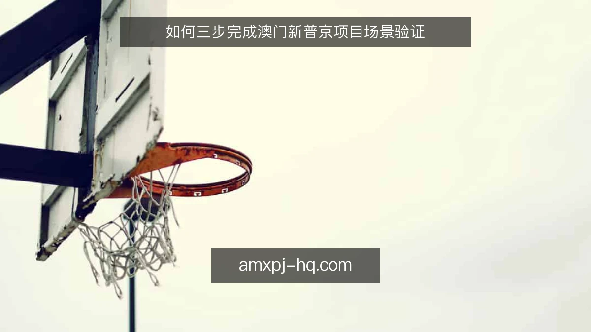 如何三步完成澳门新普京项目场景验证