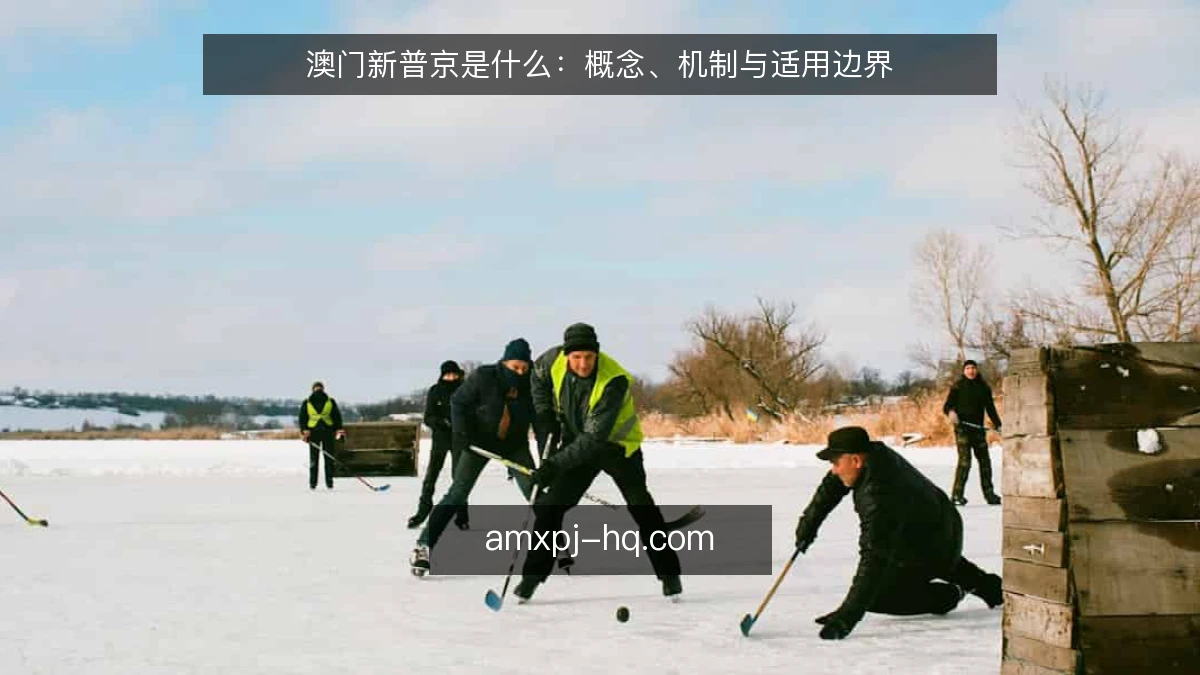 澳门新普京是什么：概念、机制与适用边界