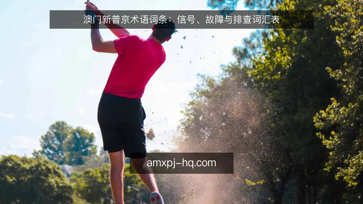 澳门新普京术语词条：信号、故障与排查词汇表
