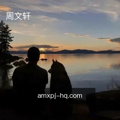周文轩